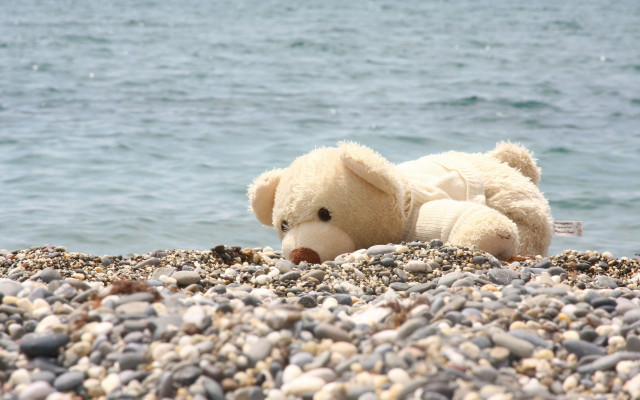 Teddy bear rocky beach ocean free wallpaper for desktop - medium preview image