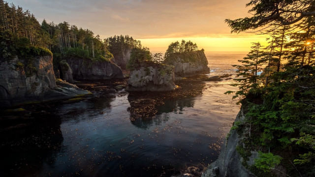 Sunset water trees cliff birds free wallpaper for desktop - medium preview image
