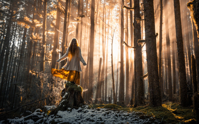 Woman forest sunbeams magic realism free wallpaper for desktop - medium preview image