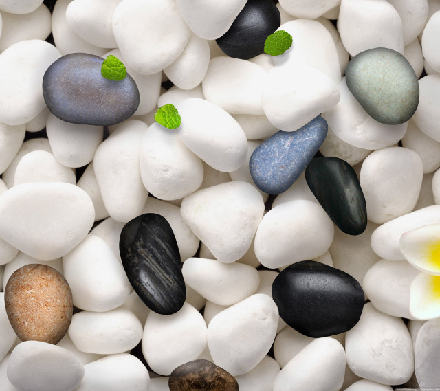 Rocks flowers pattern white surface free wallpaper for tablet - medium preview image