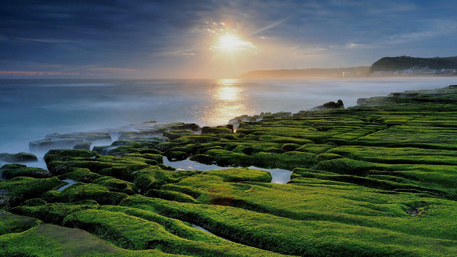 Sunset lake mountain forest shore free wallpaper for desktop - medium preview image