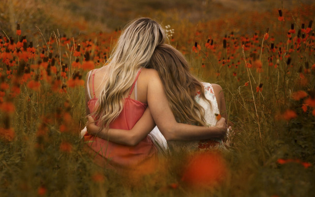 Two women hugging flower field free wallpaper for desktop - medium preview image