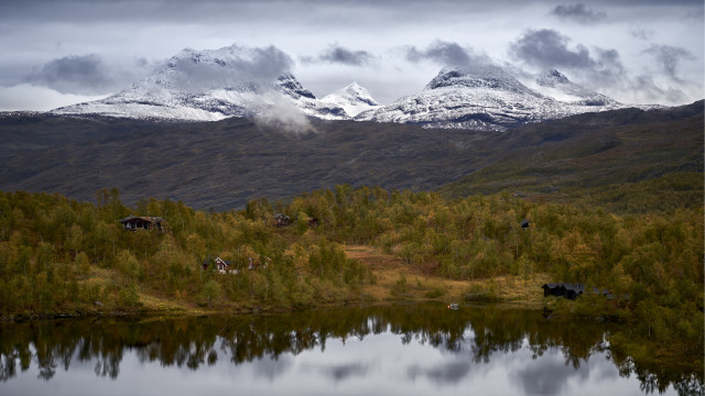 Mountain lake forest cows sky free wallpaper for desktop - medium preview image