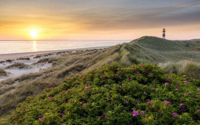 Lighthouse hill ocean sunset pinkflowers free wallpaper for desktop - medium preview image