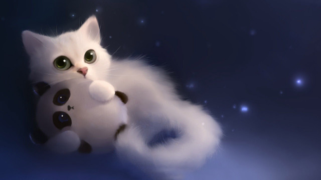 White cat stuffed animal blue #2 free wallpaper for desktop - medium preview image