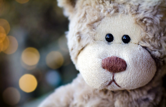 Teddy bear close up blurry free wallpaper for desktop - medium preview image