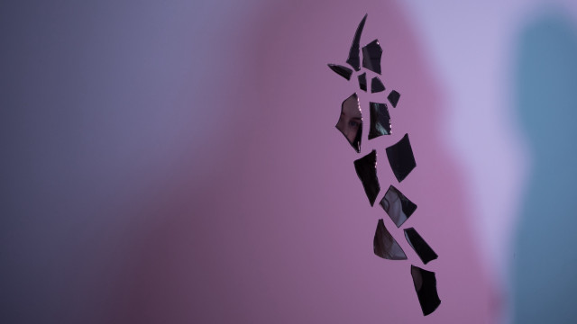 Broken glass window bird reflection free wallpaper for desktop - medium preview image