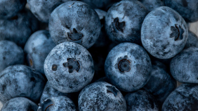 Blueberries smiley face macro photorealism free wallpaper for desktop - medium preview image