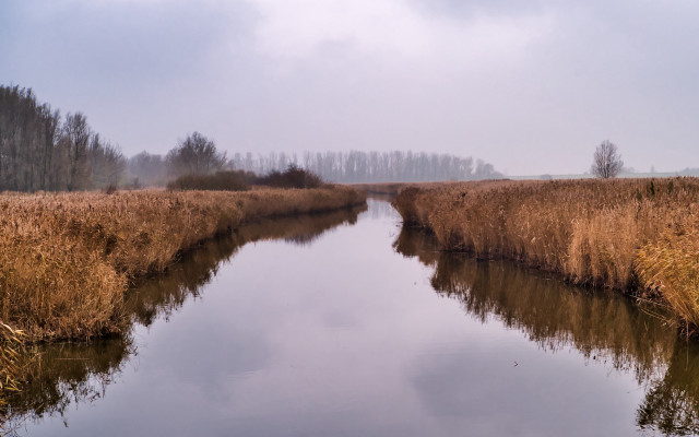 River drygrass forest cloudy shadows free wallpaper for desktop - medium preview image