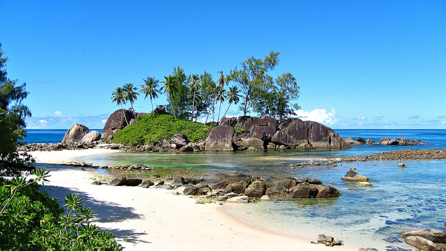 Beach rock palm trees sky free wallpaper for desktop - medium preview image