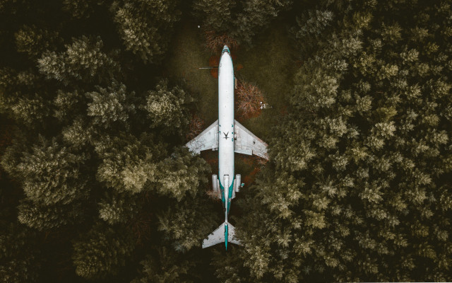 White airplane flying over forest free wallpaper for desktop - medium preview image