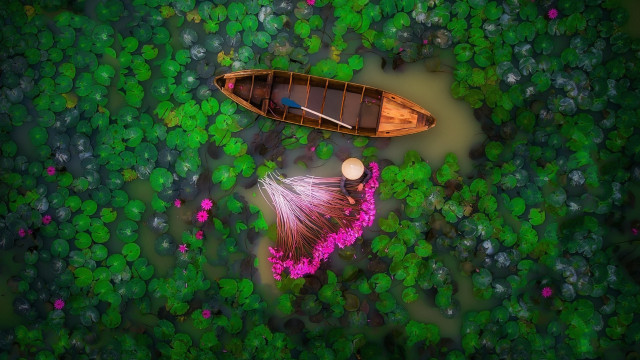 Boat green field flower forest free wallpaper for desktop - medium preview image