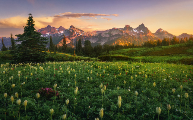 Flower field mountains sunset clouds #3 free wallpaper for desktop - medium preview image