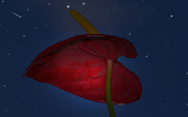 Red flower shooting star night free wallpaper for desktop - medium preview image
