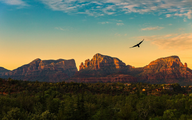 Bird mountain sunset landscape forest free wallpaper for desktop - medium preview image