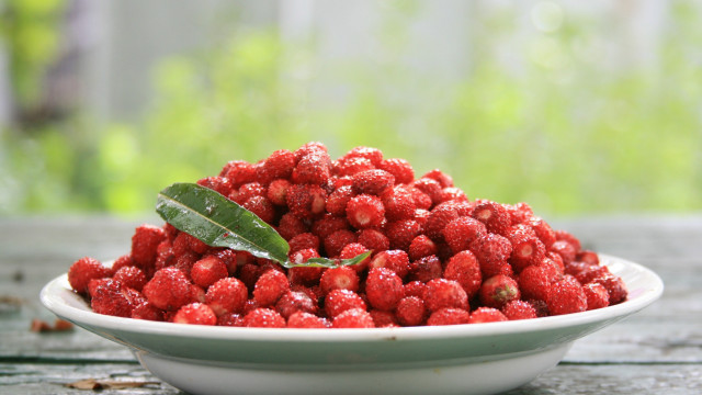 Frozen berries leaf outdoor blurry free wallpaper for desktop - medium preview image