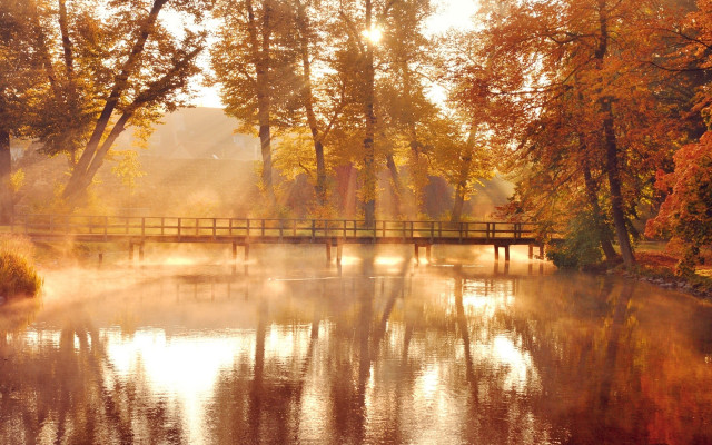 Bridge river trees fog autumn free wallpaper for desktop - medium preview image