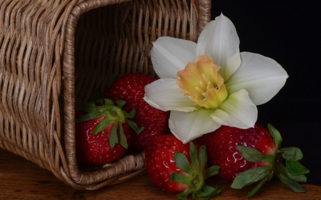 Strawberries flower berry food stilllife free wallpaper for desktop - medium preview image