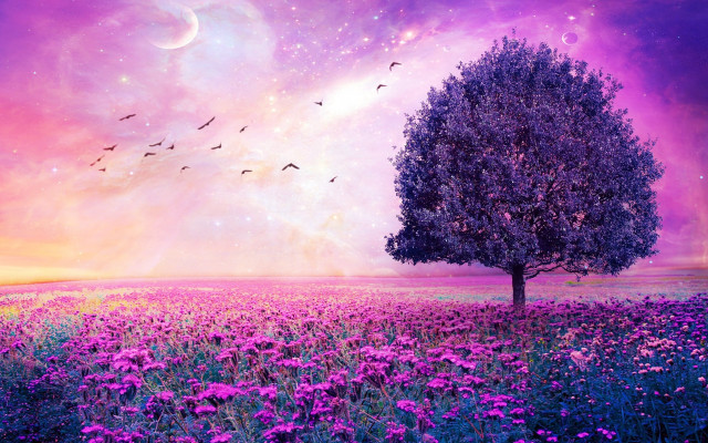 Tree flower sky moon birds free wallpaper for desktop - medium preview image