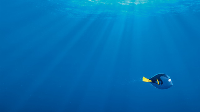 Blue fish sunbeam yellow fin free wallpaper for desktop - medium preview image