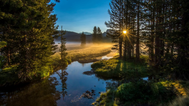 River fog sunset trees water free wallpaper for desktop - medium preview image