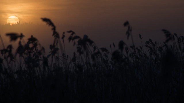 Sunset foggy sky tallgrass building free wallpaper for desktop - medium preview image