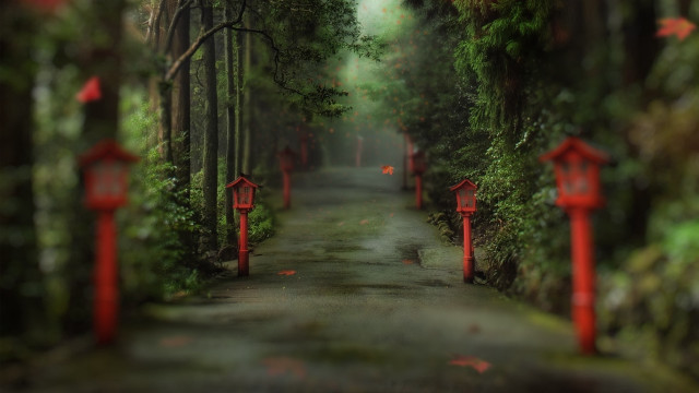 Woodland path red mailboxes torii free wallpaper for desktop - medium preview image