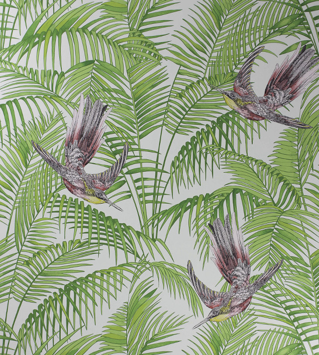 Bird palm leaves flying nature free wallpaper for tablet - medium preview image