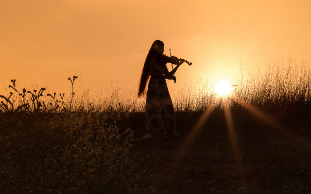 Woman violin field sunset silhouette free wallpaper for desktop - medium preview image