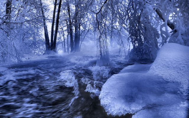 Winter forest stream moon cherry free wallpaper for desktop - medium preview image