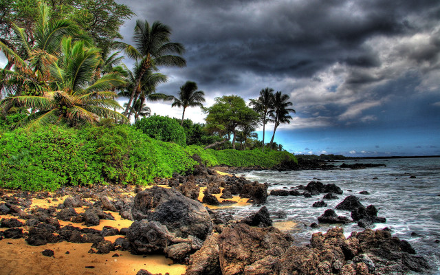 Beach rocks palm trees stormy free wallpaper for desktop - medium preview image