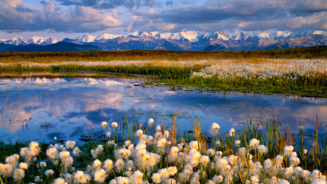 Lake mountains clouds flower sunset free wallpaper for desktop - medium preview image