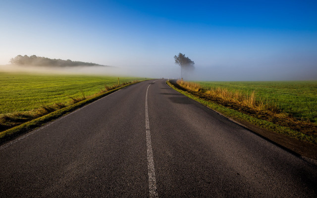 Road tree field fog landscape free wallpaper for desktop - medium preview image