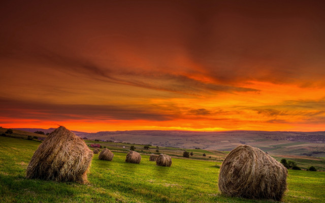 Haybales sunset field bush ocean free wallpaper for desktop - medium preview image
