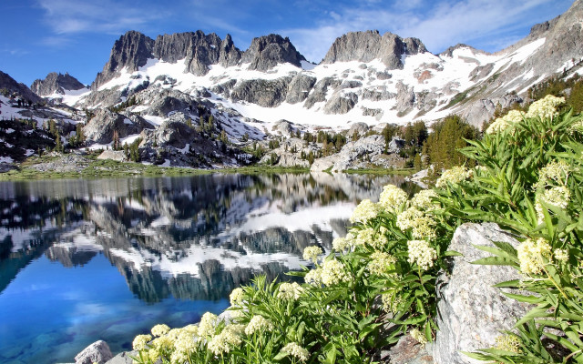 Mountain lake flowers forest sky free wallpaper for desktop - medium preview image