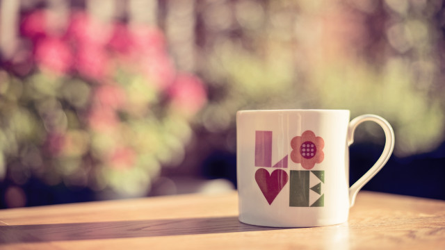 Coffee flower table window plant free wallpaper for desktop - medium preview image