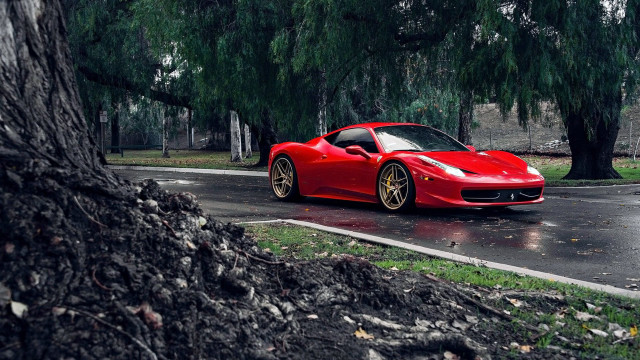 Red sports car wet road #4 free wallpaper for desktop - medium preview image