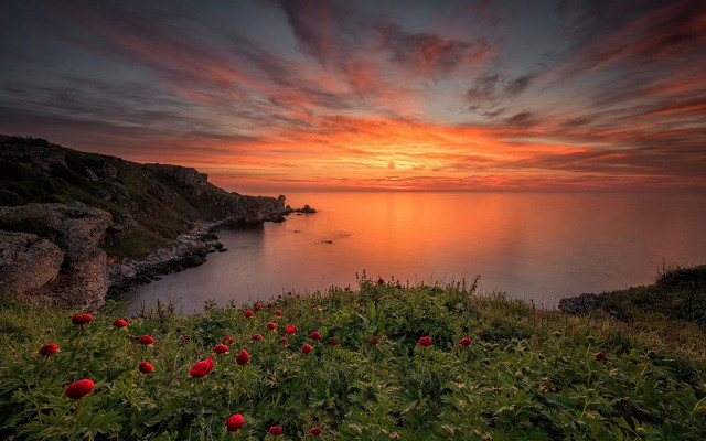 Sunset water boat cliff redflowers free wallpaper for desktop - medium preview image
