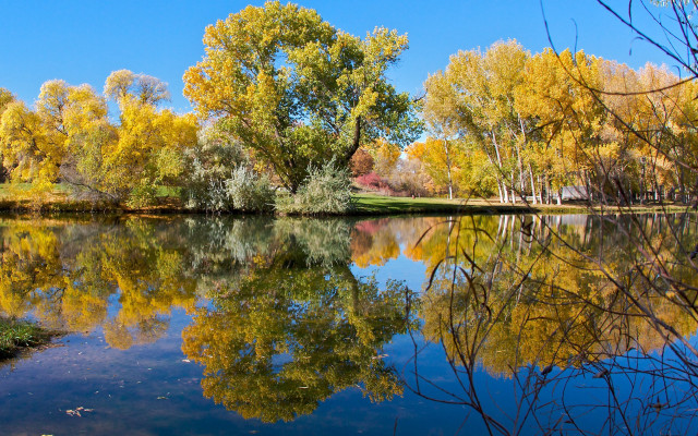 Lake trees blue sky autumn #2 free wallpaper for desktop - medium preview image