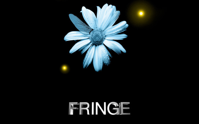 Flower fringe blackbackground yellowlights transgressive free wallpaper for desktop - medium preview image