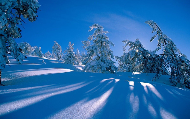Snowy hill trees blue sky free wallpaper for desktop - medium preview image