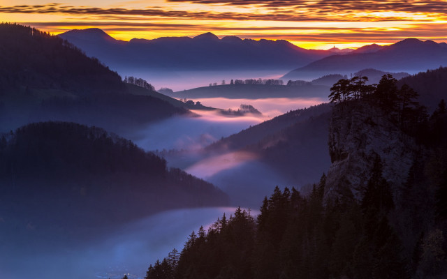 Mountain valley trees sunset fog free wallpaper for desktop - medium preview image