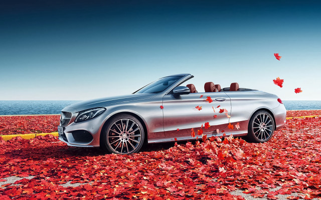 Silver car ocean leaves autumn free wallpaper for desktop - medium preview image