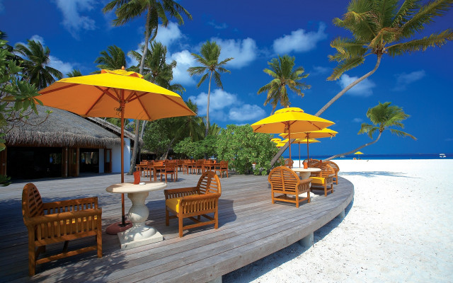 Wooden deck beach palm trees free wallpaper for desktop - medium preview image