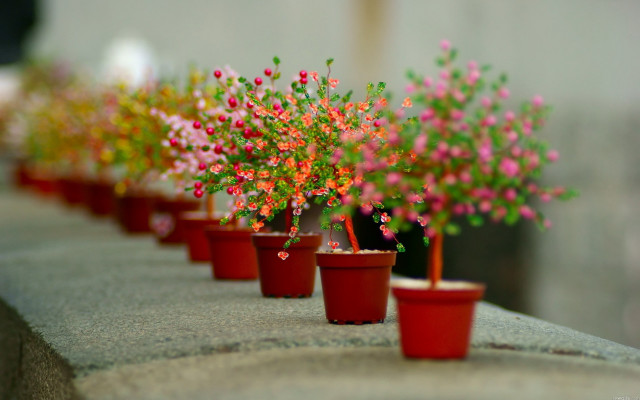 Red pots pink flowers ledge #2 free wallpaper for desktop - medium preview image