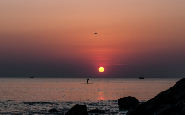 Surfing sunset ocean bird boat free wallpaper for desktop - medium preview image