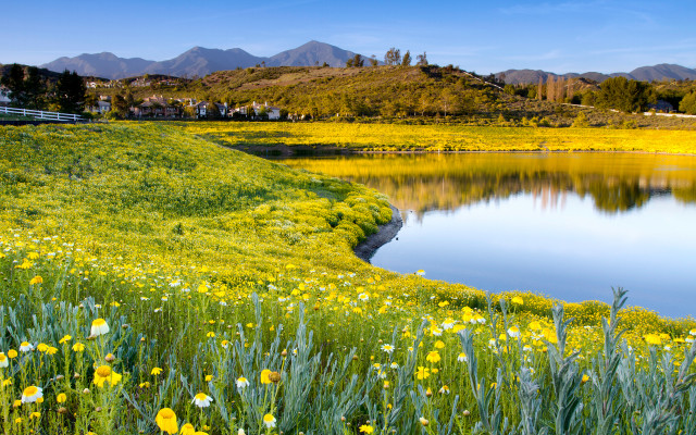 Flower field lake mountains house #2 free wallpaper for desktop - medium preview image