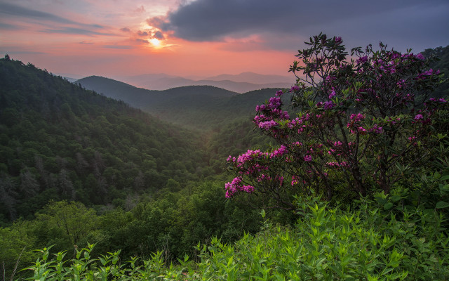 Sunset mountains flowers cloudy sky free wallpaper for desktop - medium preview image