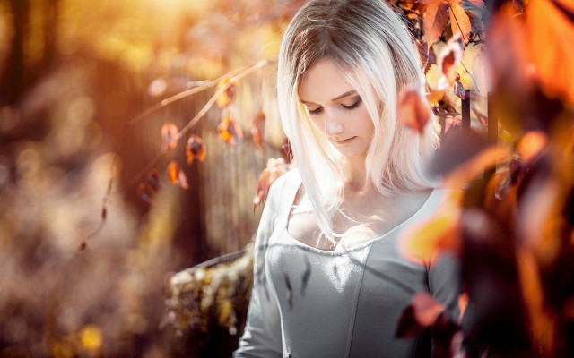 White hair forest autumn blurry free wallpaper for desktop - medium preview image