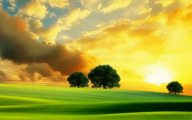 Green field sunset trees clouds free wallpaper for desktop - medium preview image